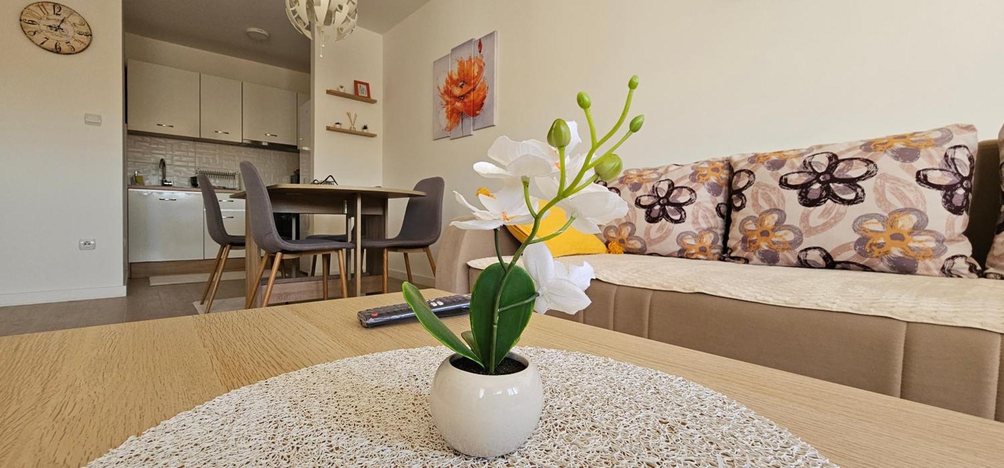 Apartman Vukota 2 Пирот Екстериор снимка
