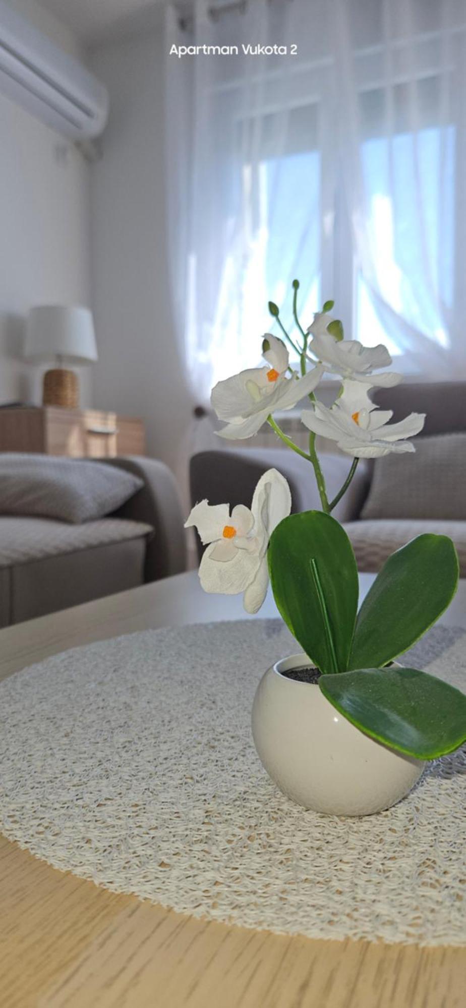 Apartman Vukota 2 Пирот Екстериор снимка